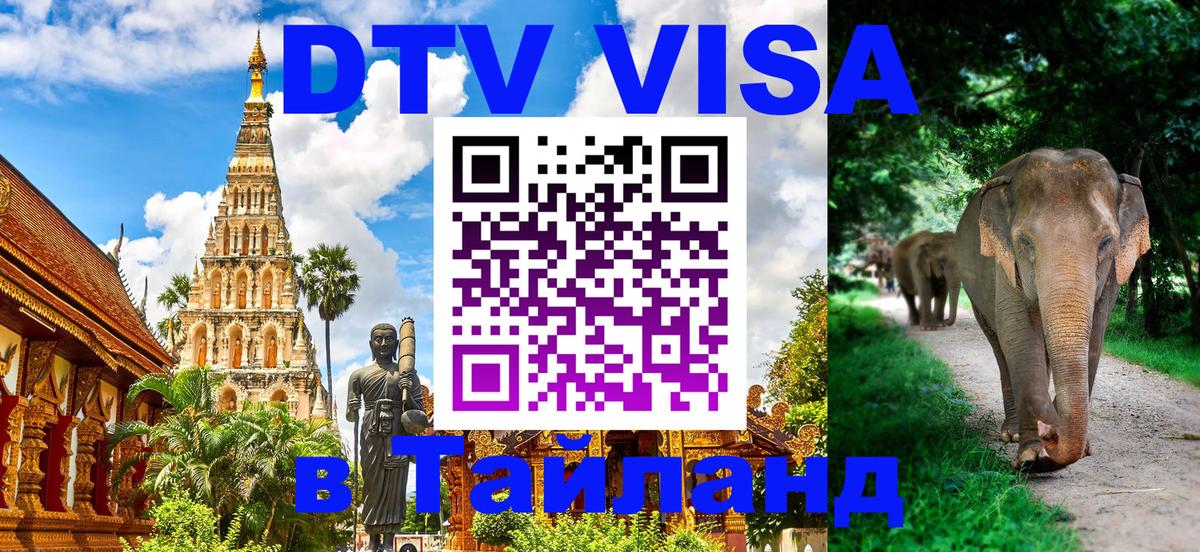 Сколько стоит DTV виза — актуальные цены, оформление даже без документов - Элиста 